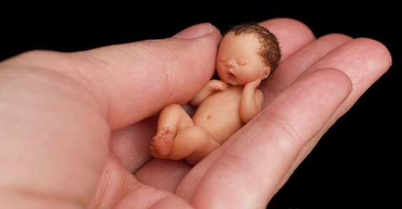 Baby Sculptures by Camille Allen