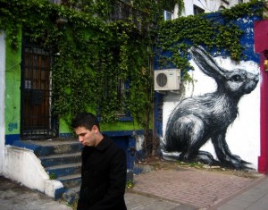 Graffiti Animals in Street Life