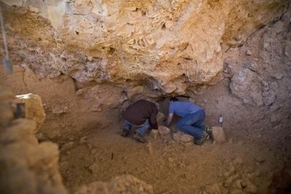 oldest ancient teeth 02 in Oldest ancient teeth found in Israeli cave