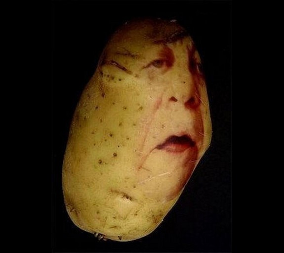 amazing potato art 08 in Potato Face People Are Looking Back At You
