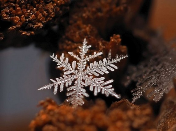 great photos of flakes 03 in Magical Snow Flakes: Macro Photography