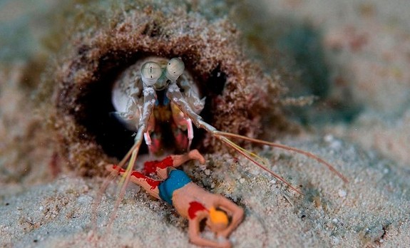 underwater miniatures make for hilariously creative scenes 01 in Miniature Underwater World; Hilarious Toy Scenes