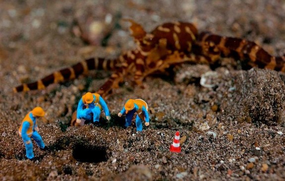 underwater miniatures make for hilariously creative scenes 02 in Miniature Underwater World; Hilarious Toy Scenes