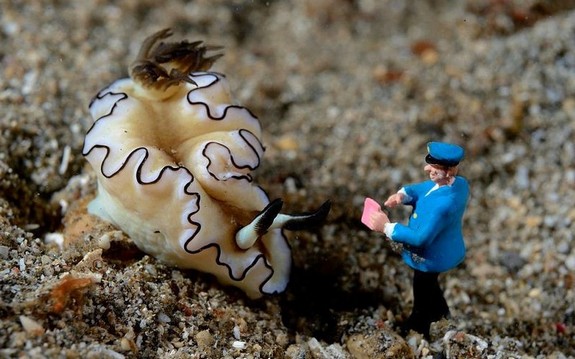 underwater miniatures make for hilariously creative scenes 06 in Miniature Underwater World; Hilarious Toy Scenes