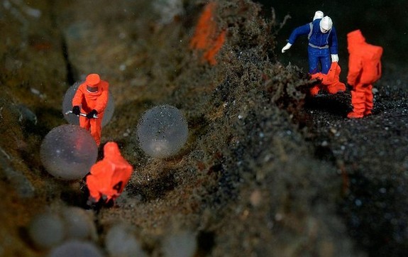 underwater miniatures make for hilariously creative scenes 08 in Miniature Underwater World; Hilarious Toy Scenes