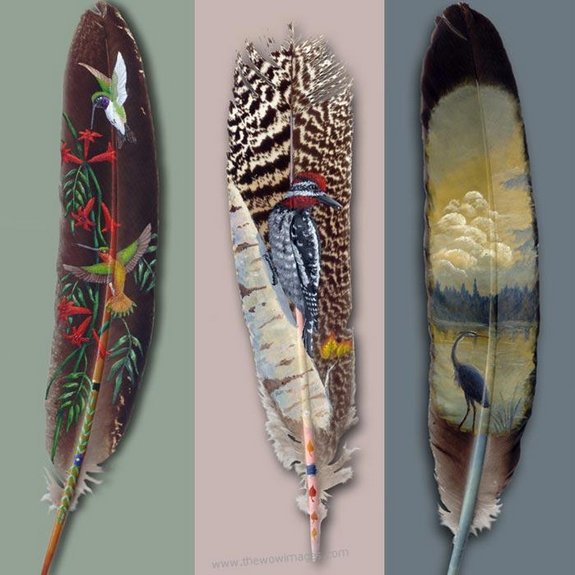 drawings on feather 02 in Drawings on feather? Creative Art Medium