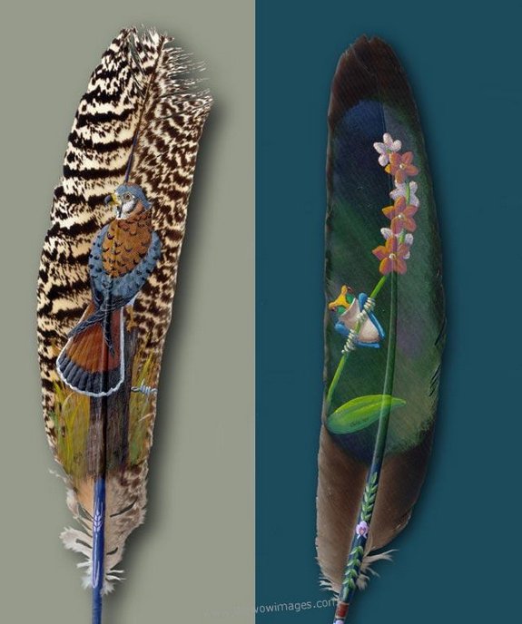 drawings on feather 05 in Drawings on feather? Creative Art Medium