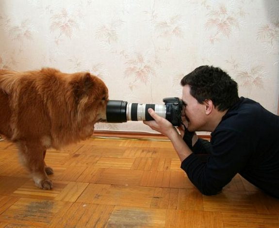 funny photographers 14 in 36 Photographers That Would Do Everything to Get That Photo Right