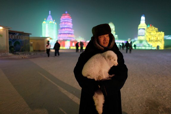 harbin ice festival 24 in Harbin Ice and Snow Sculpture Festival