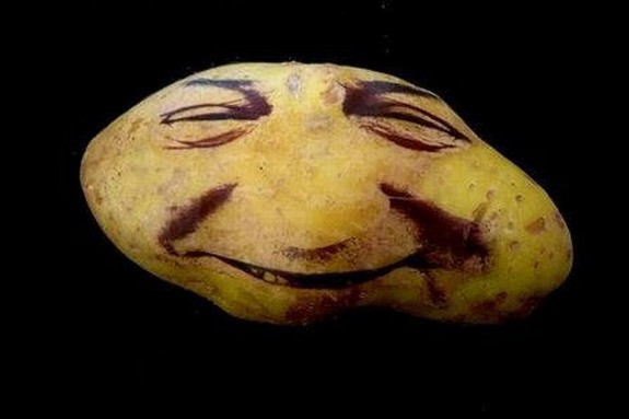 amazing potato art 10 in Potato Face People Are Looking Back At You