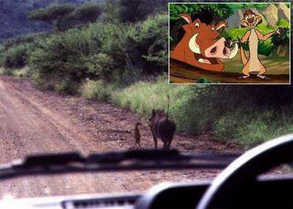 are cartoons copying reality 01 in Real Life Scenes Mimicking Famous Cartoon Scenes