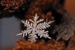 great-photos-of-flakes-03