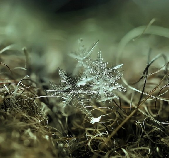 great photos of flakes 04 in Magical Snow Flakes: Macro Photography