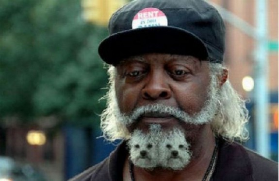 most unusual beards youll ever see 05 in 10 Most Unusual Beards Youll Ever See