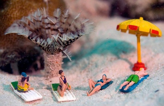 underwater miniatures make for hilariously creative scenes 10 in Miniature Underwater World; Hilarious Toy Scenes