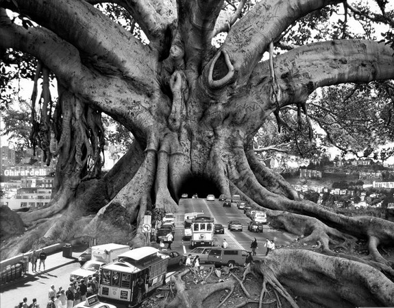 whimsically surreal photo montages 01 in Whimsically Surreal Photo Montages by Thomas Barbéy
